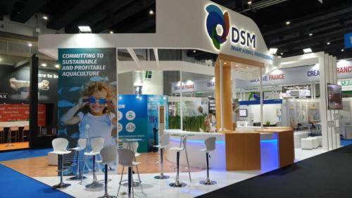DSM at VIV Asia